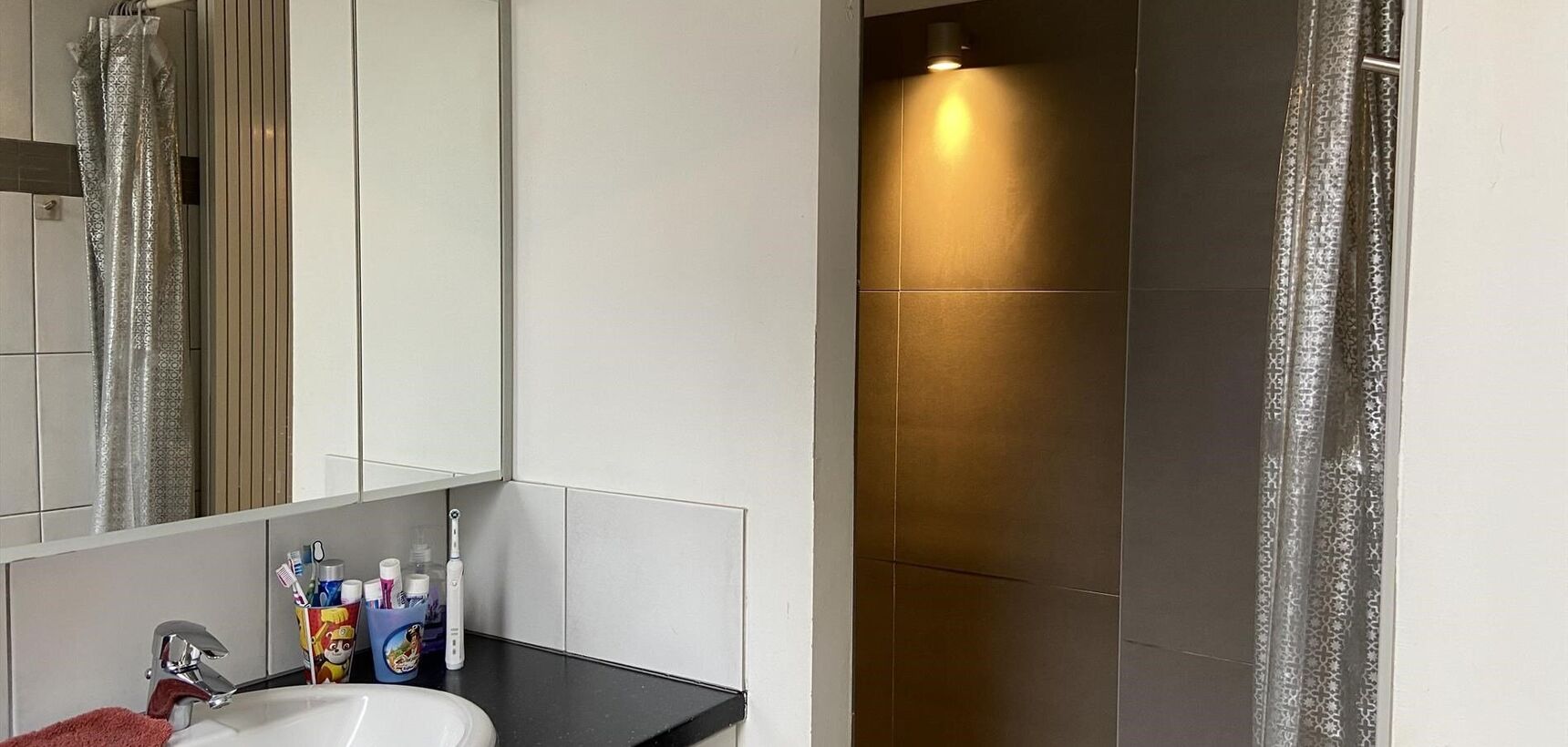 Dakappartement te huur in Olen