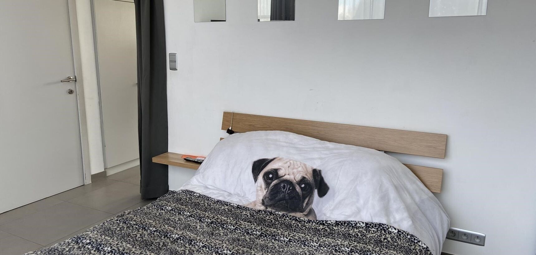 Dakappartement te huur in Olen