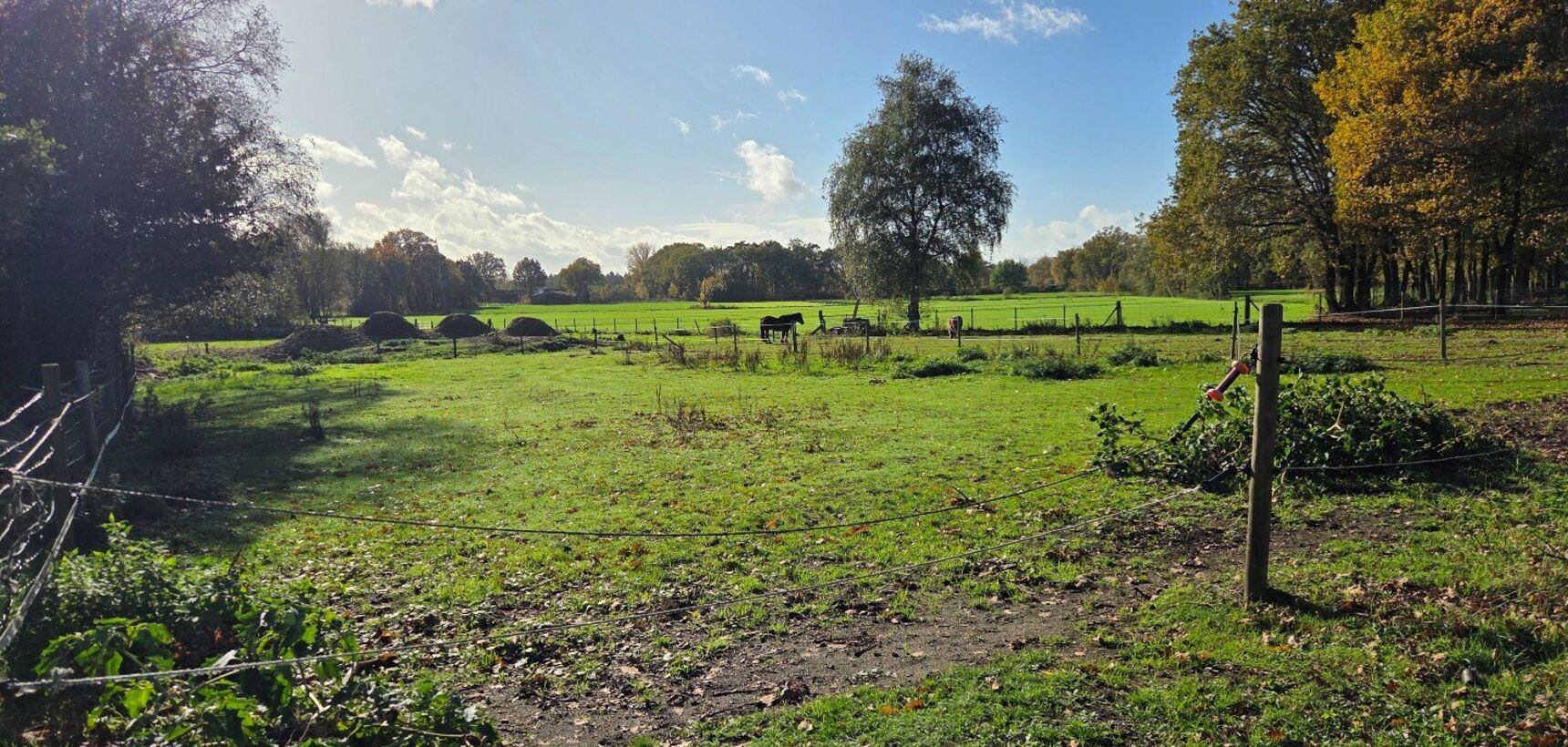 Fermette te huur in Geel