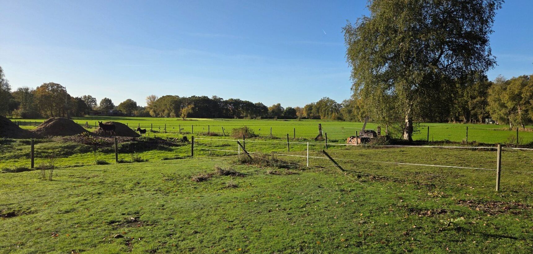 Fermette te huur in Geel