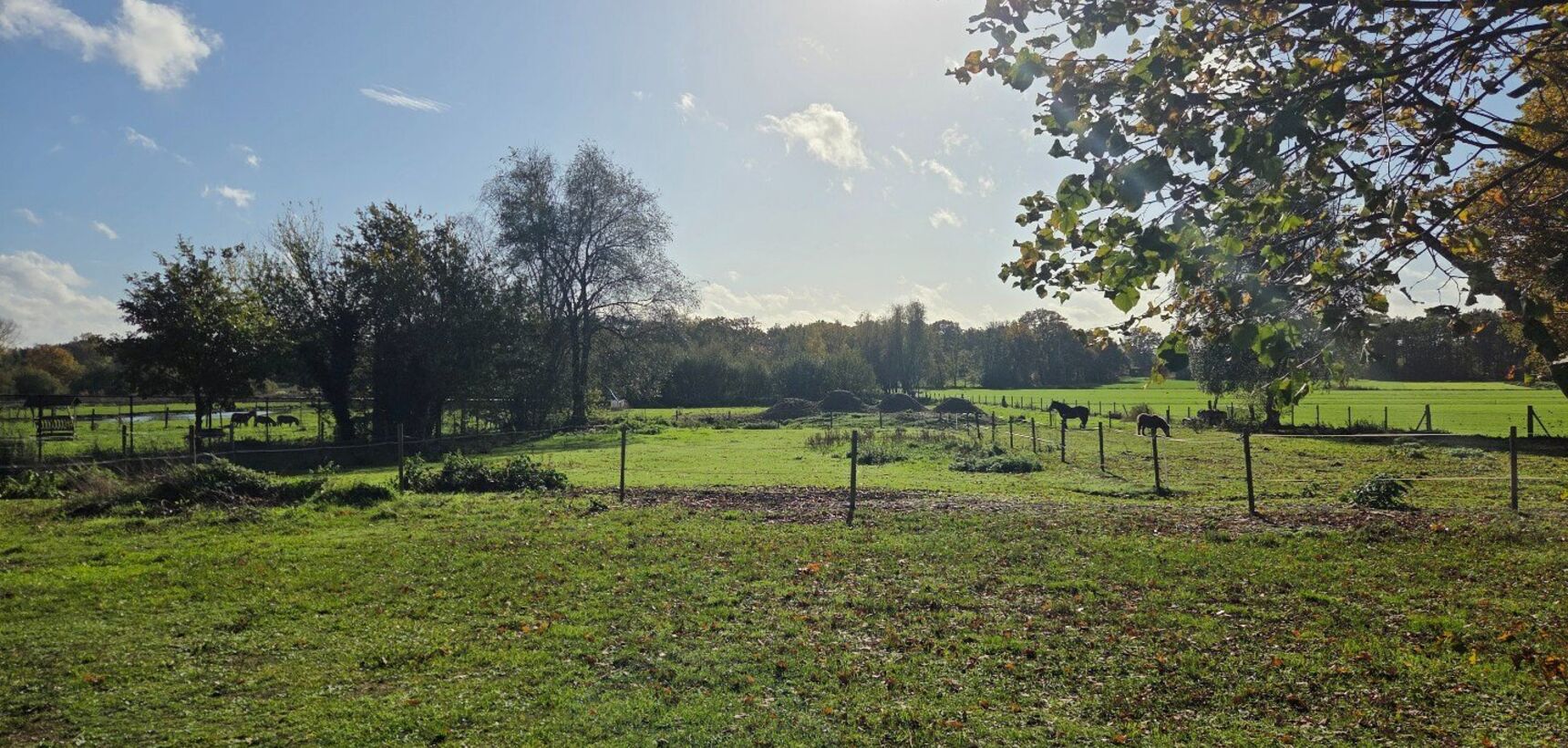 Fermette te huur in Geel