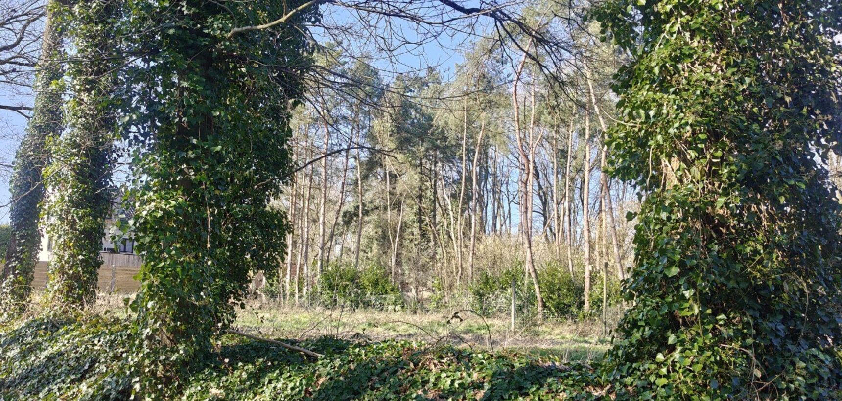 Grond te koop in Meerhout