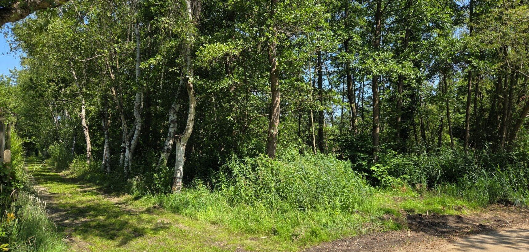 Grond te koop in Mol
