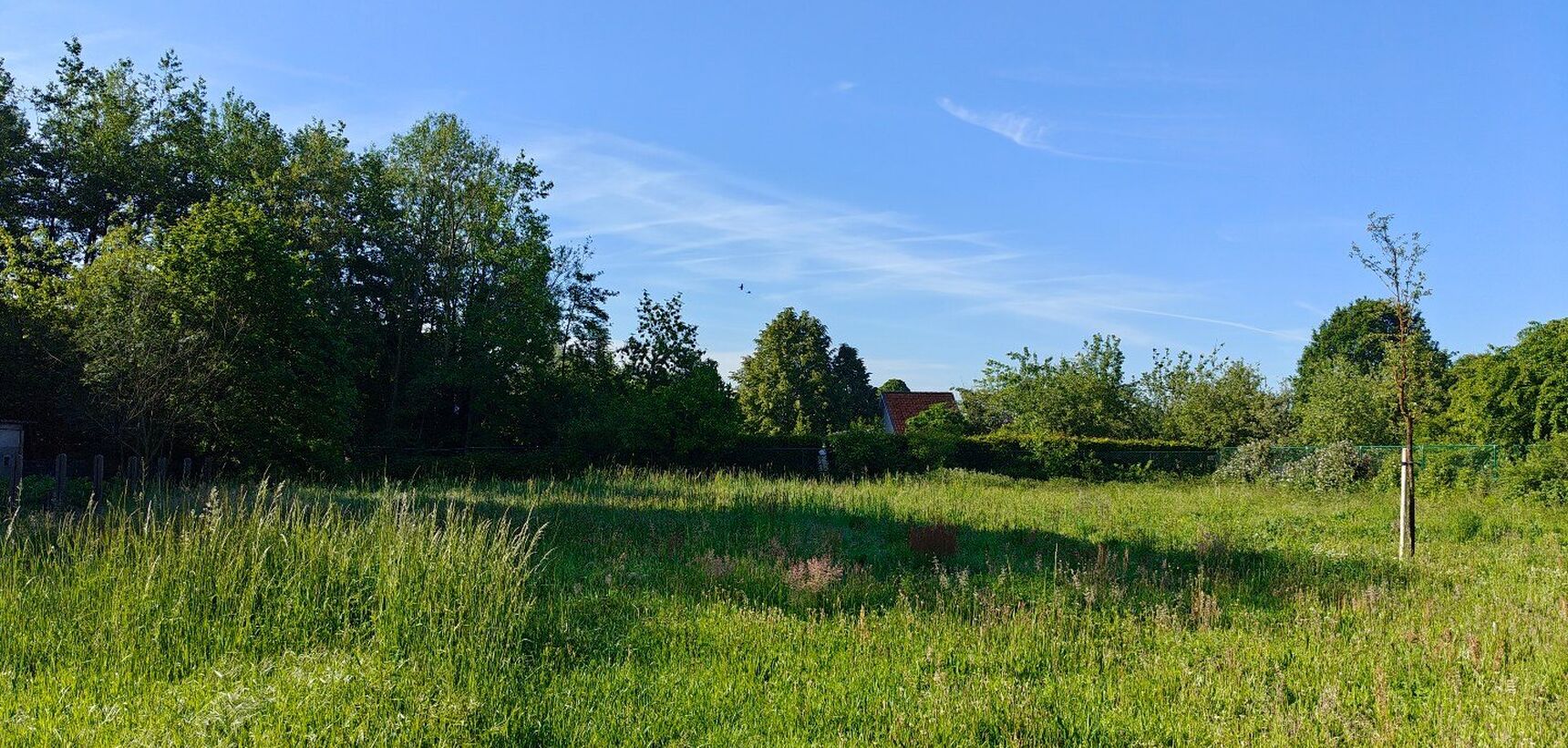 Grond te koop in Mol