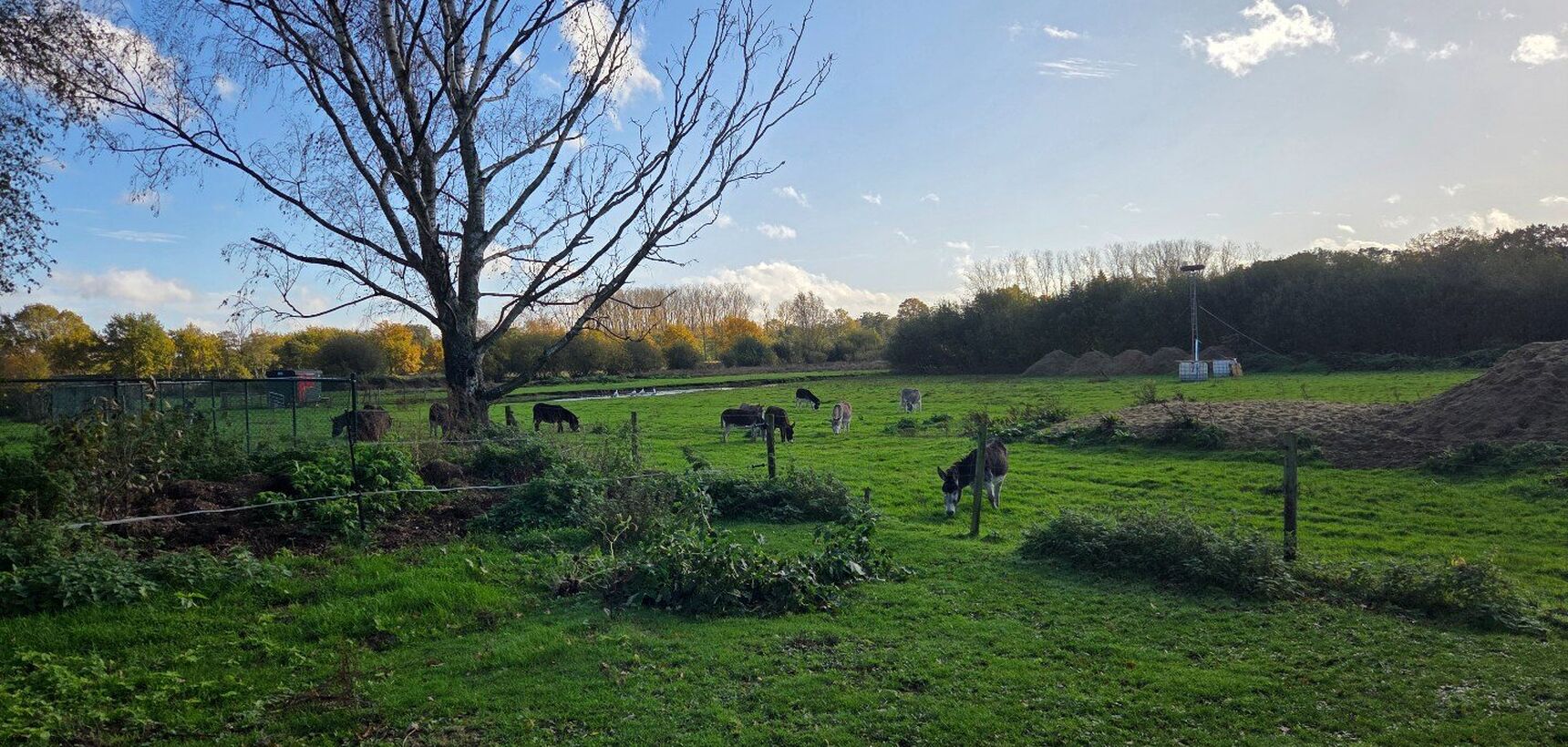 Huis te huur in Geel