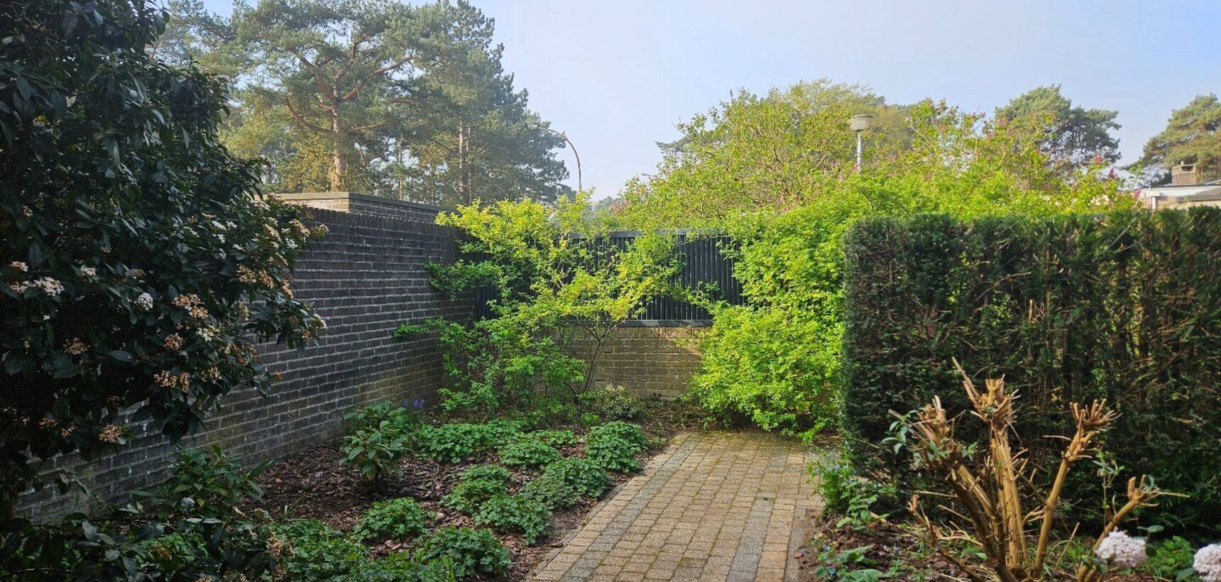 Huis te huur in Mol
