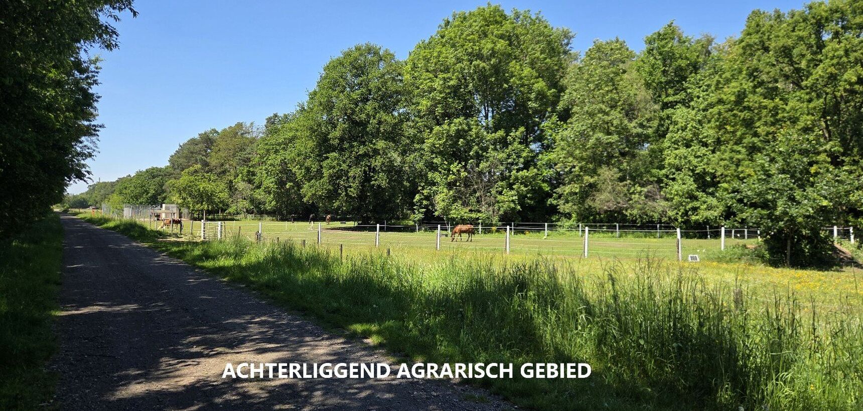 Huis te koop in Olen