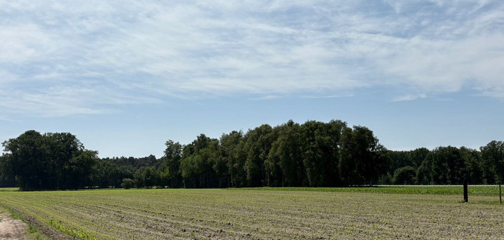 Weide te koop in Geel