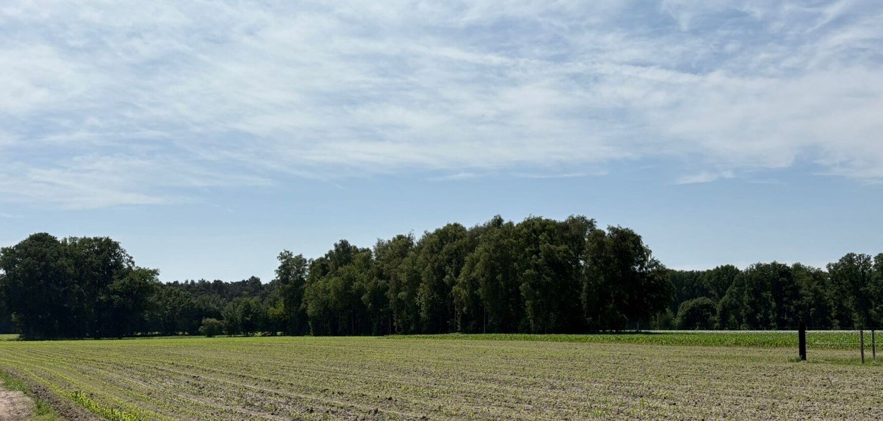 Weide te koop in Geel