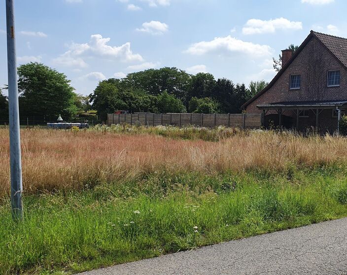 Grond te koop in Westerlo