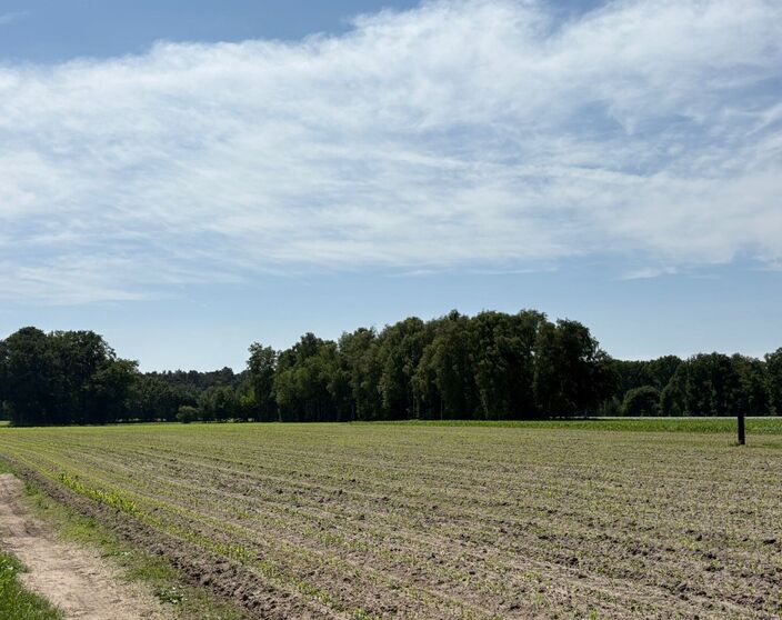 Weide te koop in Geel